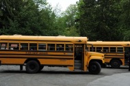 buses2011.jpg