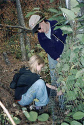 Beaver habitat