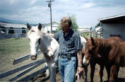 Dr. Ray Kellosalmi with yearling foals