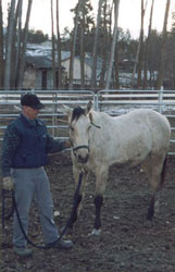 Gary with rescued horses