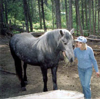 Kismet with Sinikka Crosland in 2004