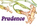 Prudence Organics