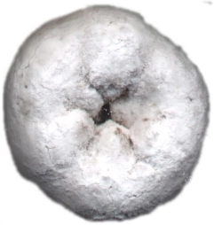 image of V03 of Mice and Bread