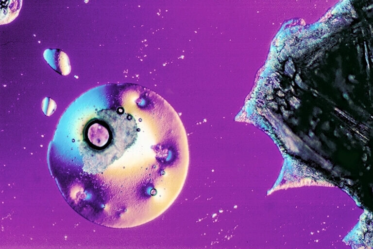 image of Math