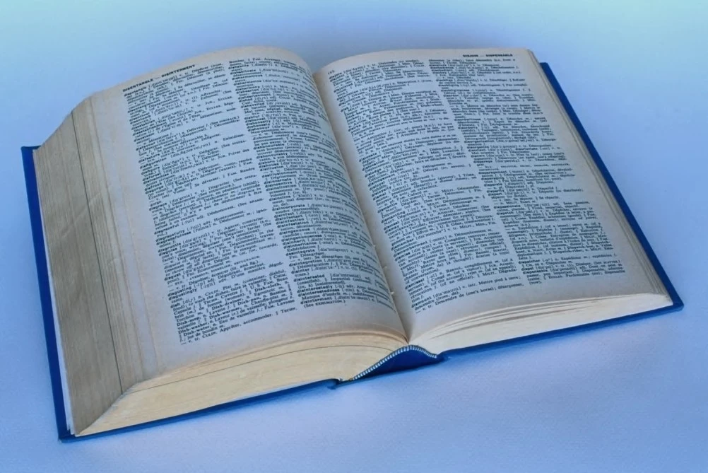 image of Pradictionary