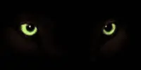 image of An Introduction
