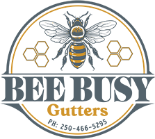 image of BeeBusyGutters