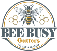 image of BeeBusyGutters