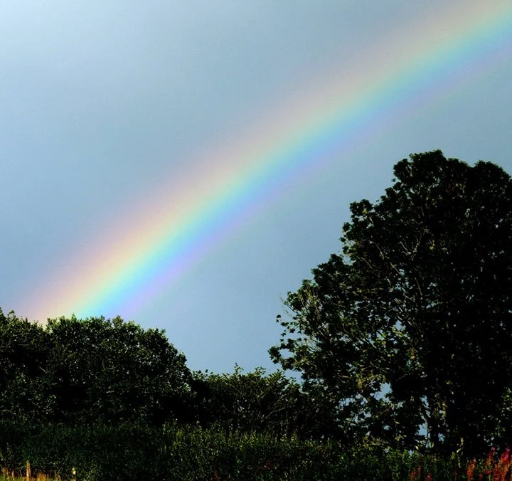 image of Into the Rainbow