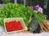 image of Pesticides and Our Crops