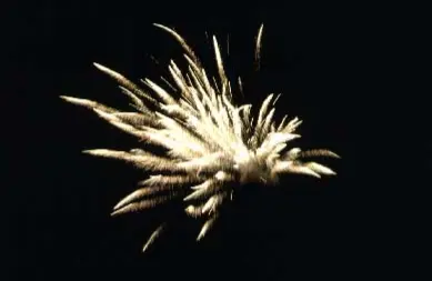 image of Hacking the Fireworks Firewall
