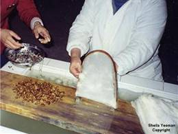 Photo: silk batting made by soaking and killing silkworms