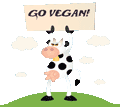 Animal Rights Concerns