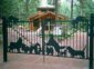 Dog Patch Humane