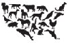 Humane Society of the United States