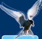 San Diego Animal Advocates