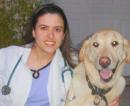 Vegan Vet