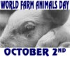 World Farm Animal Day