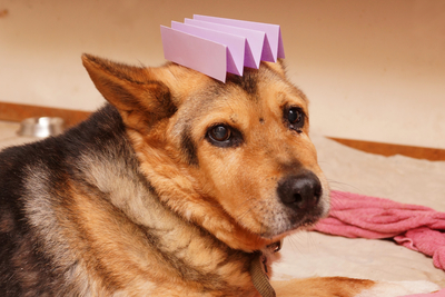 hat