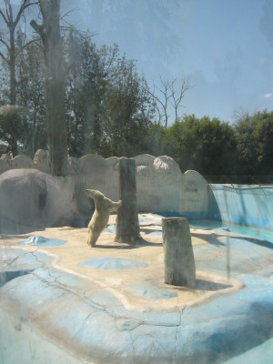 yupi2