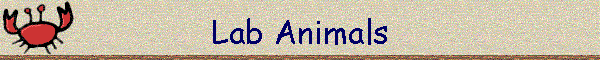 Lab Animals