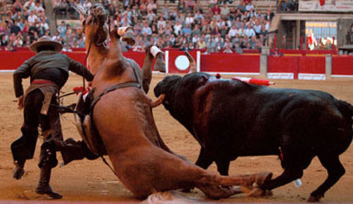 bullfight