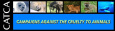 catcasm.jpg