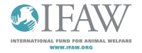 ifaw