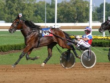 Standardbred Harness Racing