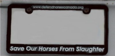 licenseplate