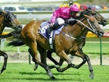 Thoroughbred Racing