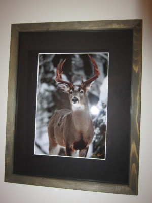 Big Buck