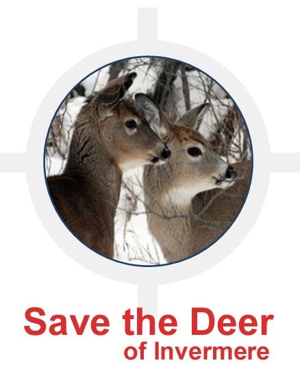 save deer