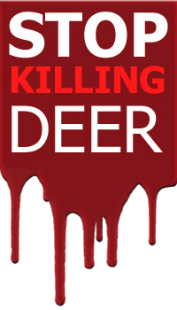 stop killing