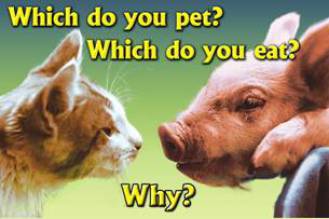 friends not food