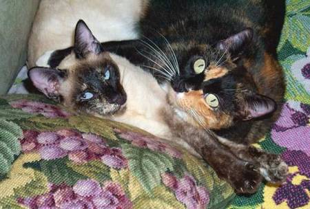 images/cuddletime.jpg