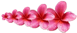 flowerrowL