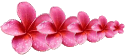flowerrowR