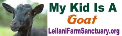 goat bumper sticker