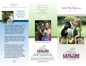 lfsbrochure1
