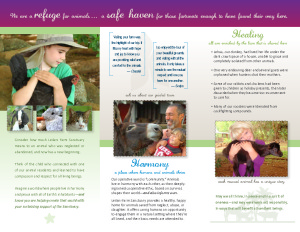 lfsbrochure2