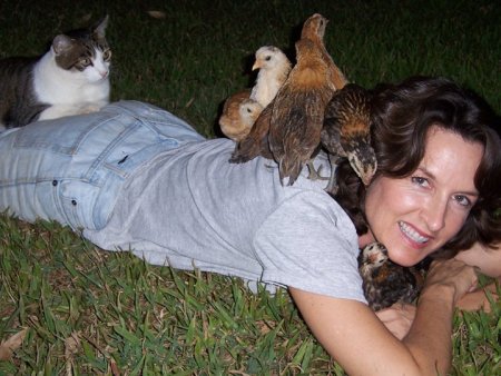 images/purrfectharmony.jpg