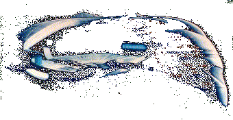 cloaking warbird