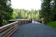 walktrestle2.JPG