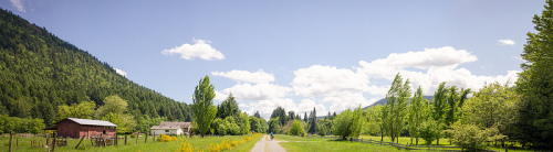 panorama