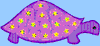tortoise