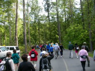 shawniganlakewalk_1_000.jpg