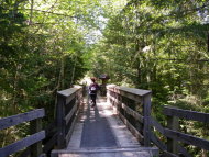 shawniganlakewalk_2_006.jpg